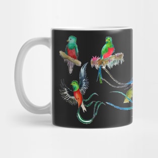 Watercolor Quetzal Collection Mug